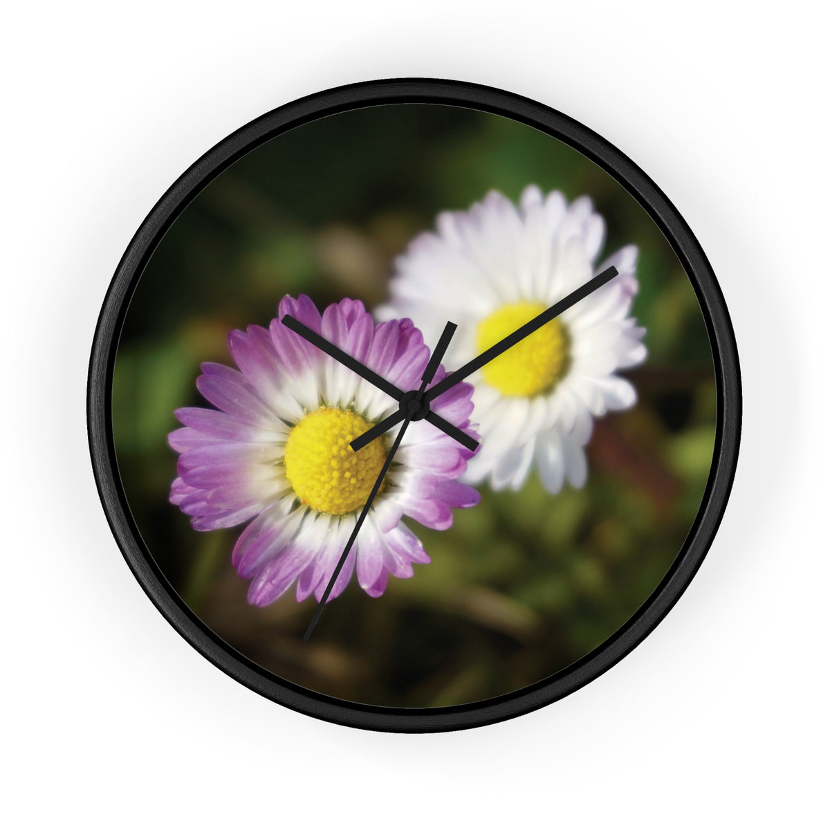 Wall Clock - Flower of Daisies