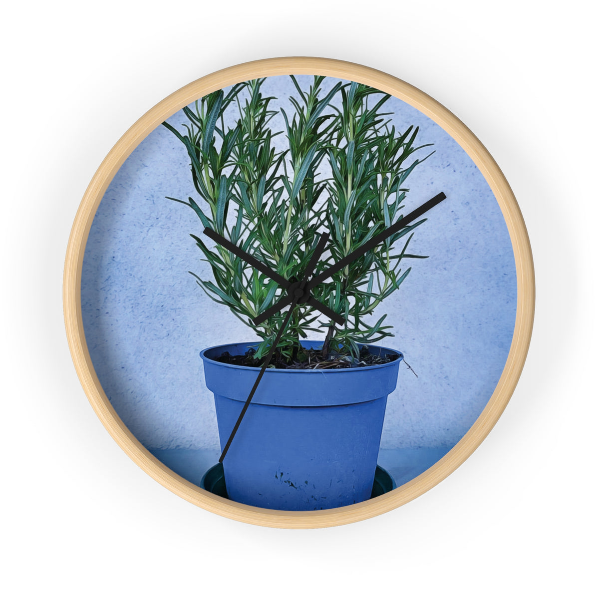 Wall Clock - Rosemary Plant
