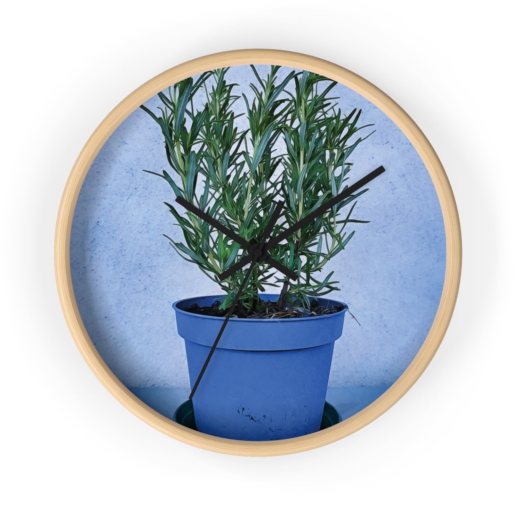 Wall Clock - Rosemary Plant