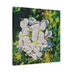 Stretched Matte Canvas - Poly Art - Flower, White