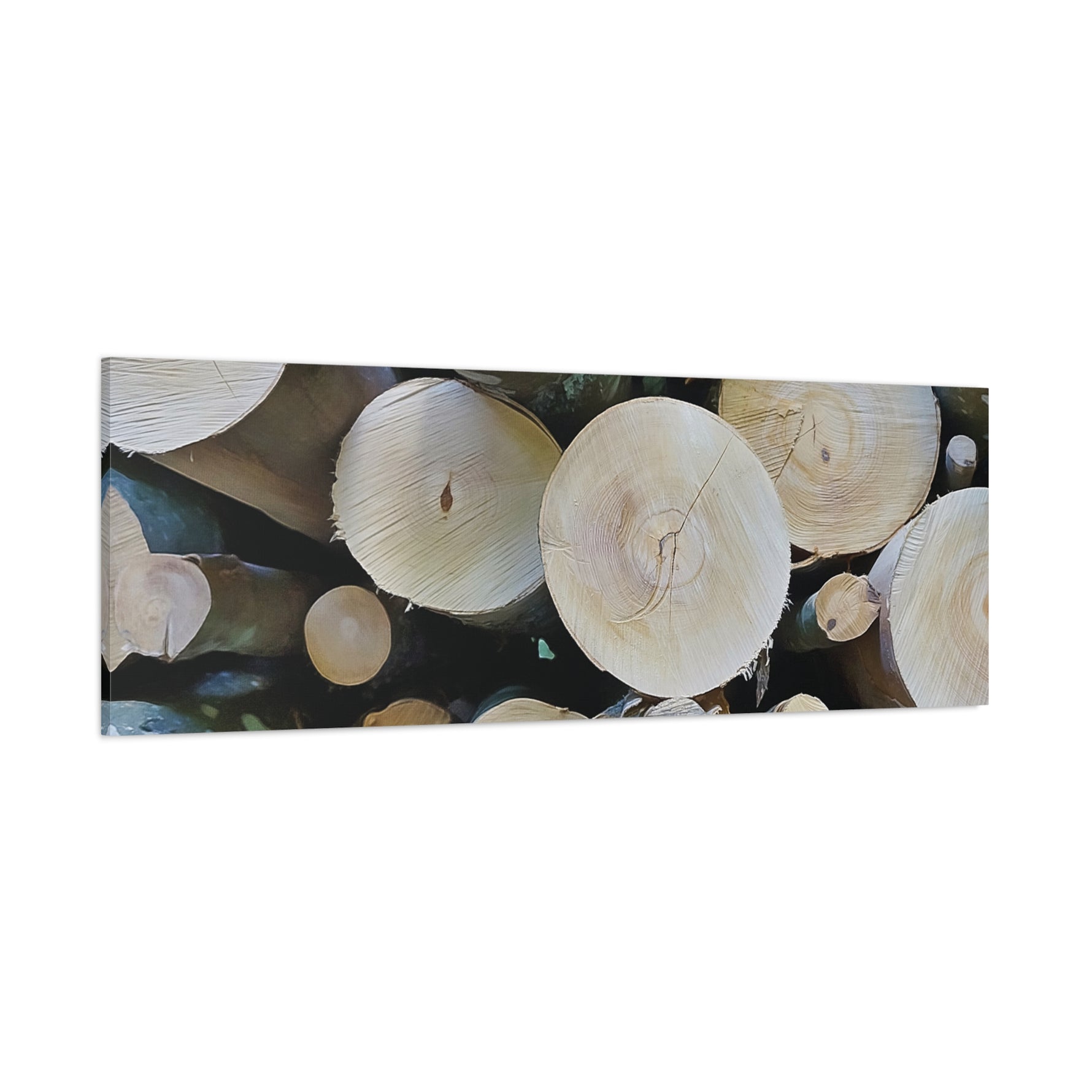 Stretched Matte Canvas - Wooden Trunks (Variant 1)