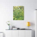 Stretched Matte Canvas - Felce Aquilina (Pteridium Aquilinum)