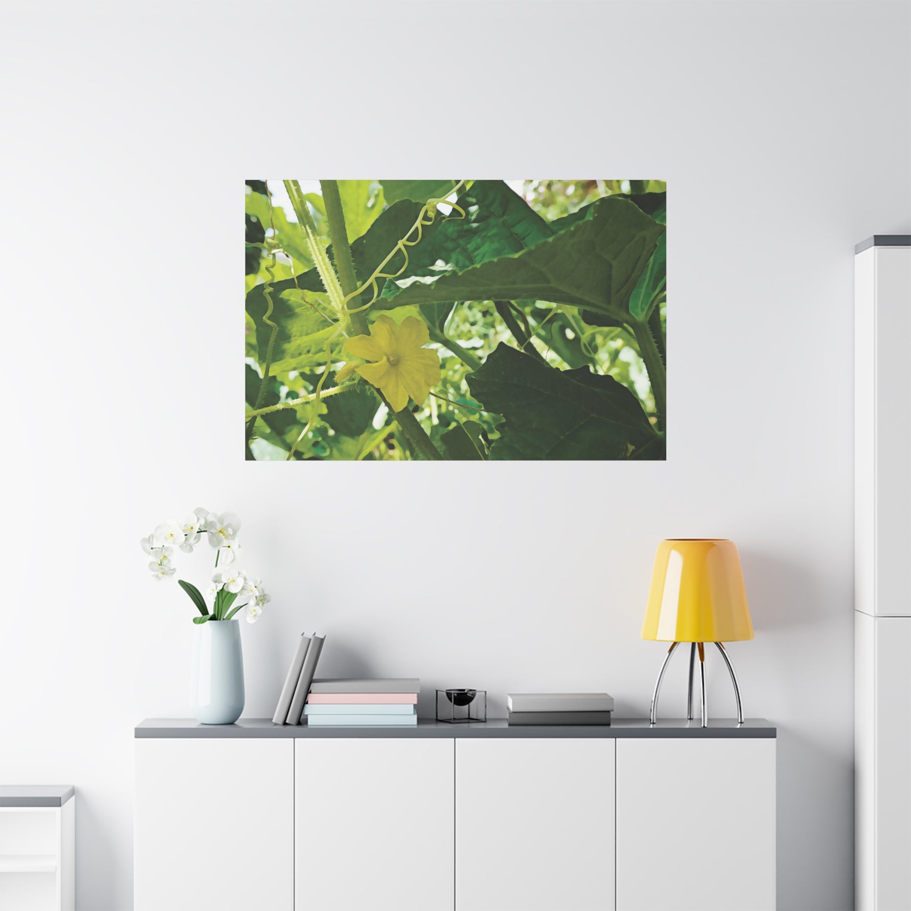 Stretched Matte Canvas - Flower of Cucumber