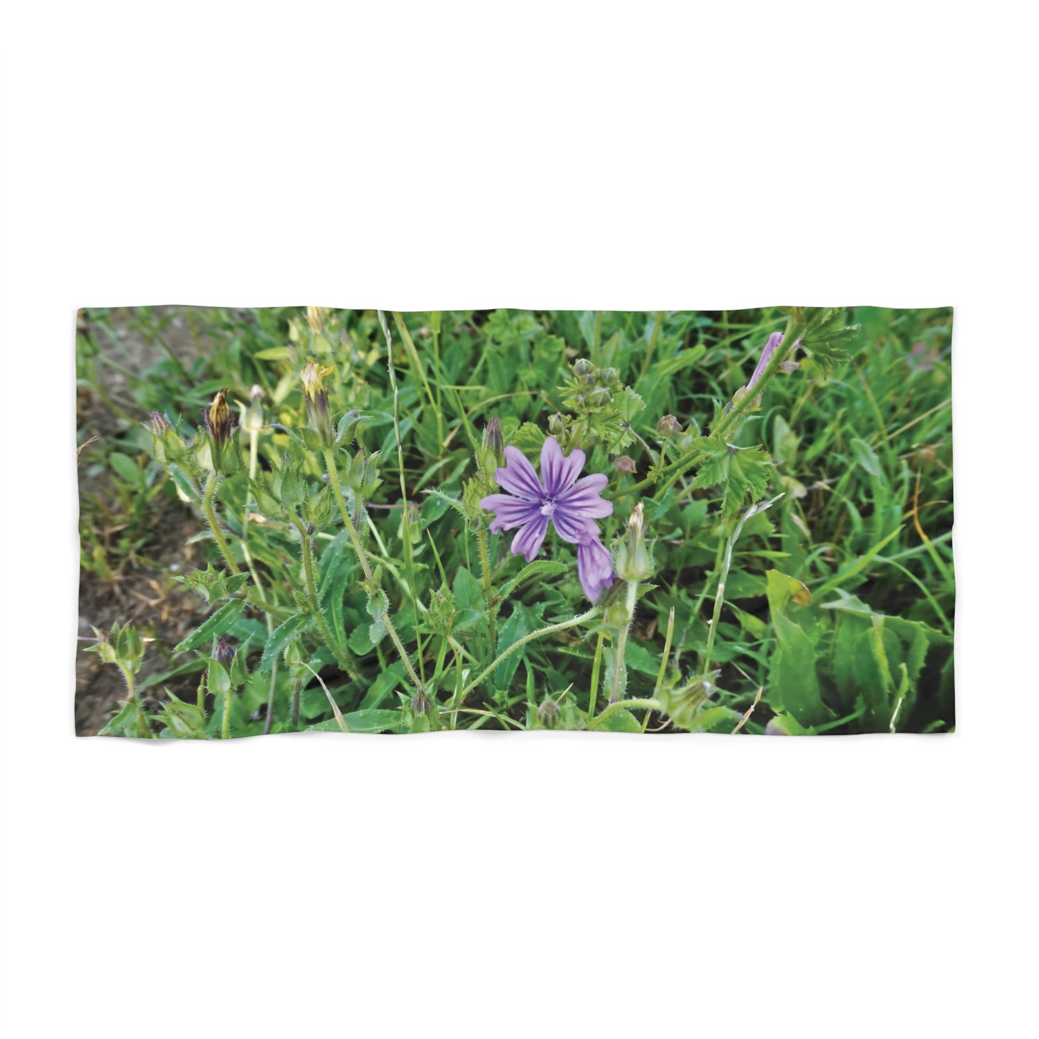 Beach Towel – Flower of Malva Sylvestris
