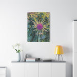 Stretched Matte Canvas - Flower of Silybum Marianum