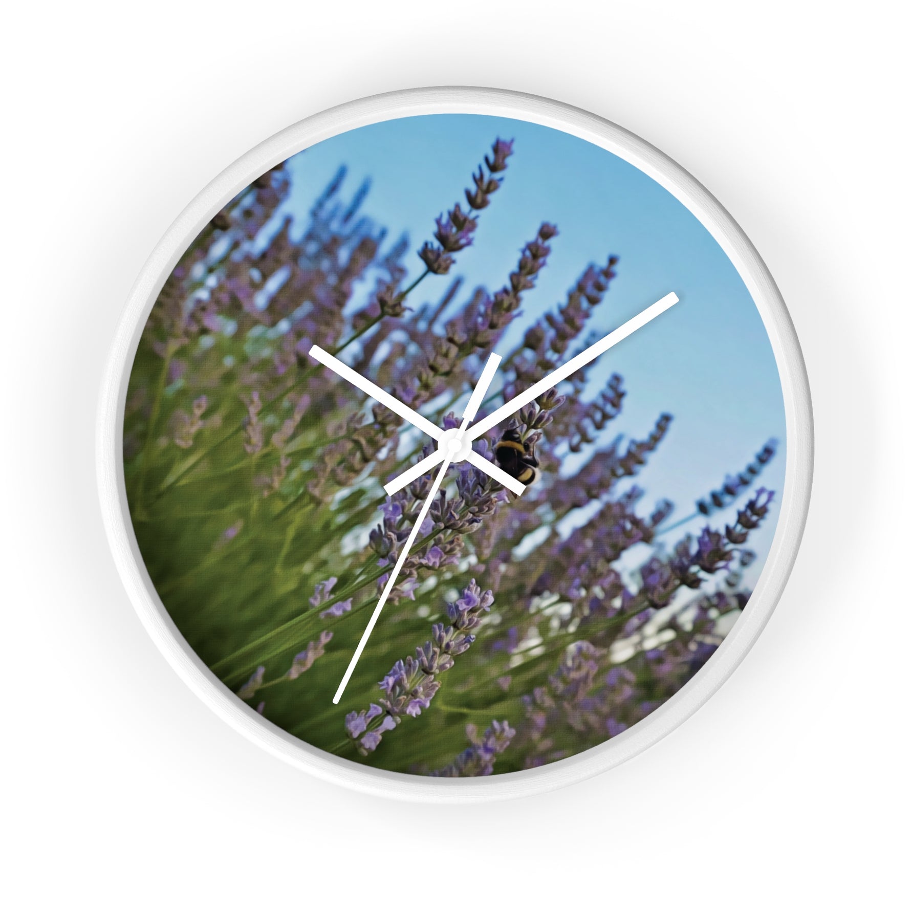 Wall Clock - Flower of Lavender with Bombus Insect (Variant 1)