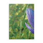 Hardcover Notebook with Puffy Covers - Flower of Anemone