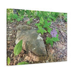 Stretched Matte Canvas - Flower of Geranium Nodosum