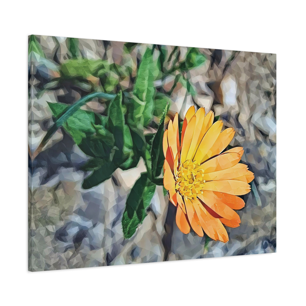 Stretched Matte Canvas - Poly Art - Flower of Calendula (Variant 2)