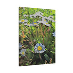 Stretched Matte Canvas - Poly Art - Flower of Daisies (Variant 1)