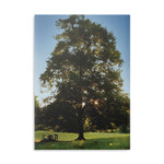 Hardcover Notebook with Puffy Covers - Tree in a Lawn (Variant 2)