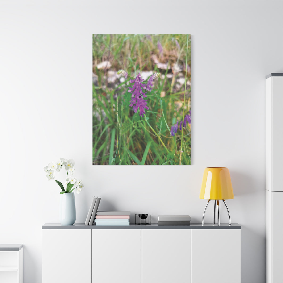 Stretched Matte Canvas - Flower of Vicia