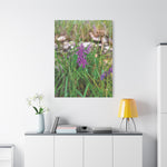 Stretched Matte Canvas - Flower of Vicia