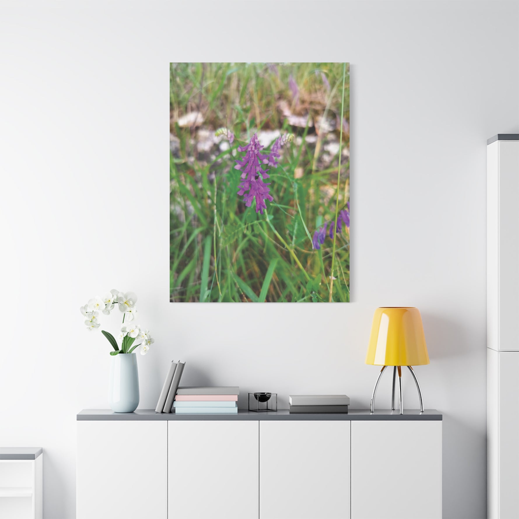 Stretched Matte Canvas - Flower of Vicia