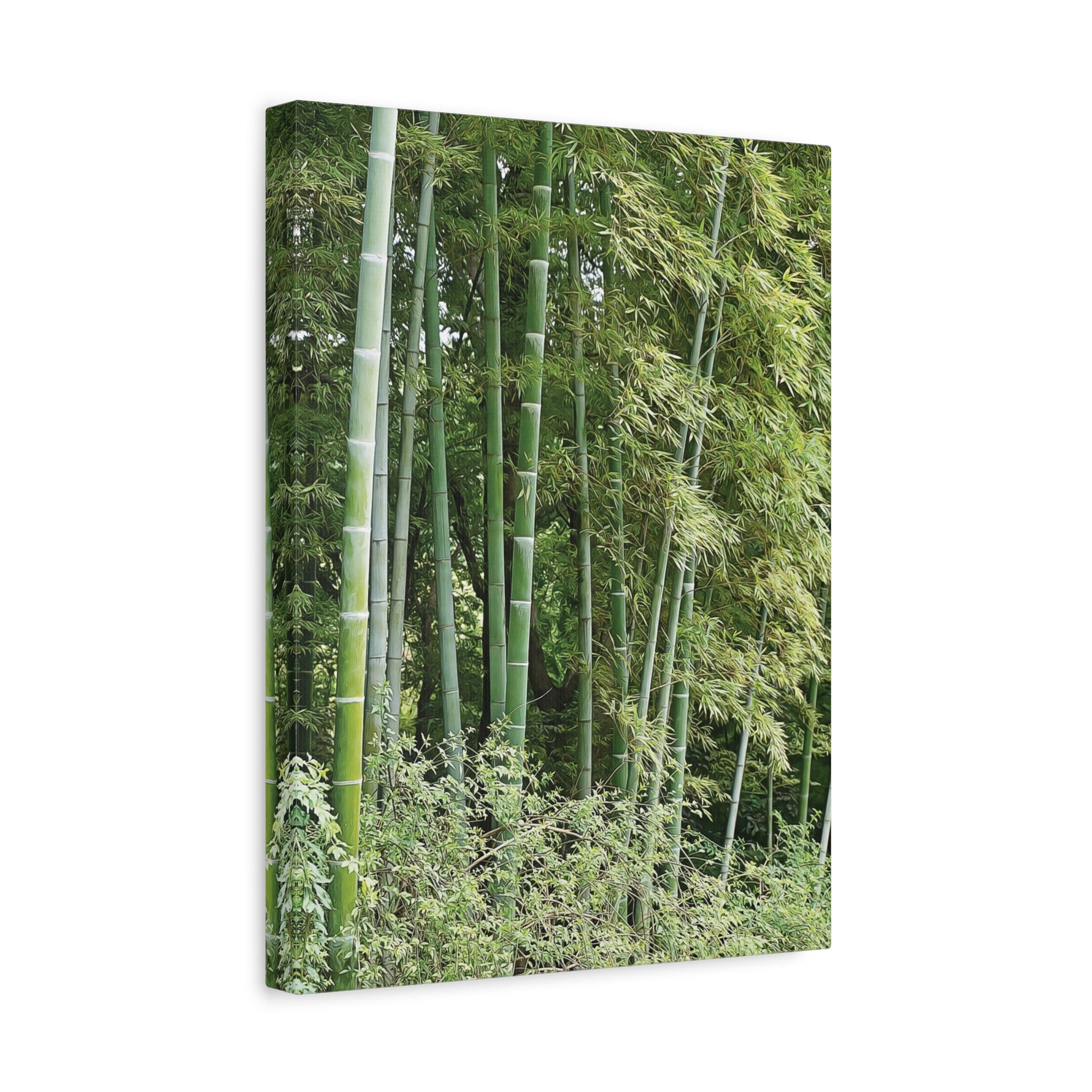 Stretched Matte Canvas - Bamboo (Variant 1)