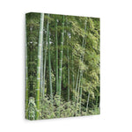 Stretched Matte Canvas - Bamboo (Variant 1)