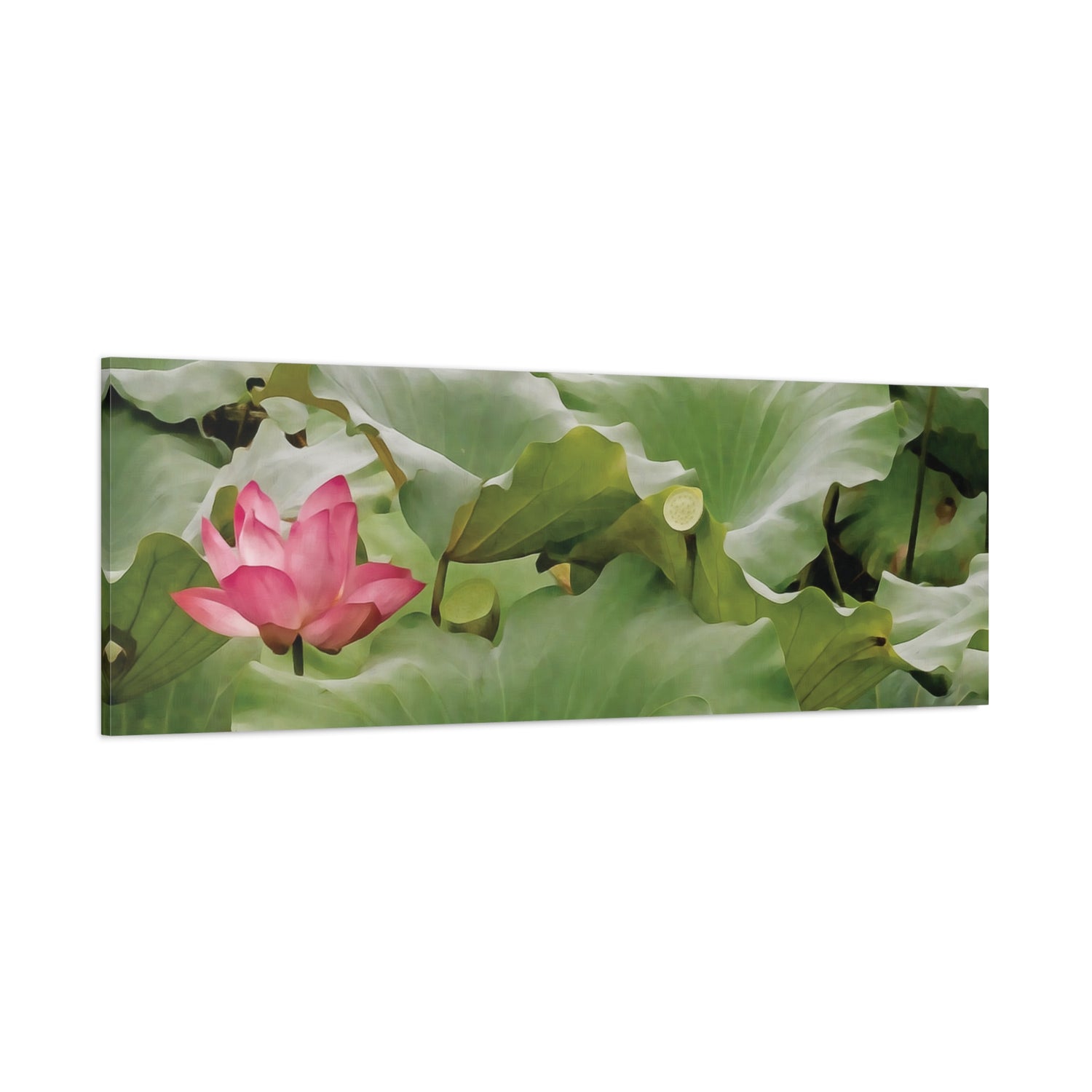 Stretched Matte Canvas - Flower of Lotus