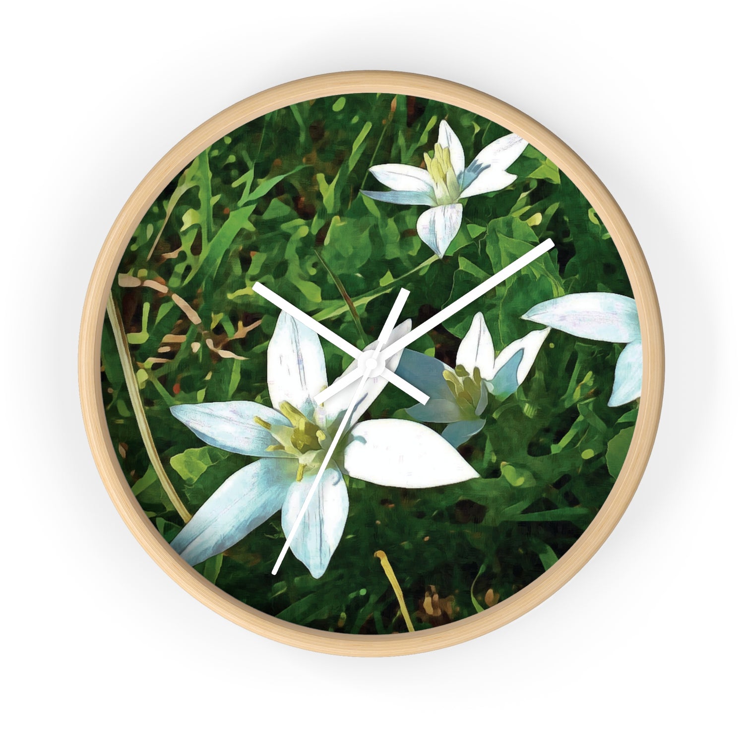 Wall Clock - Flower of Ornithogalum (Variant 1)
