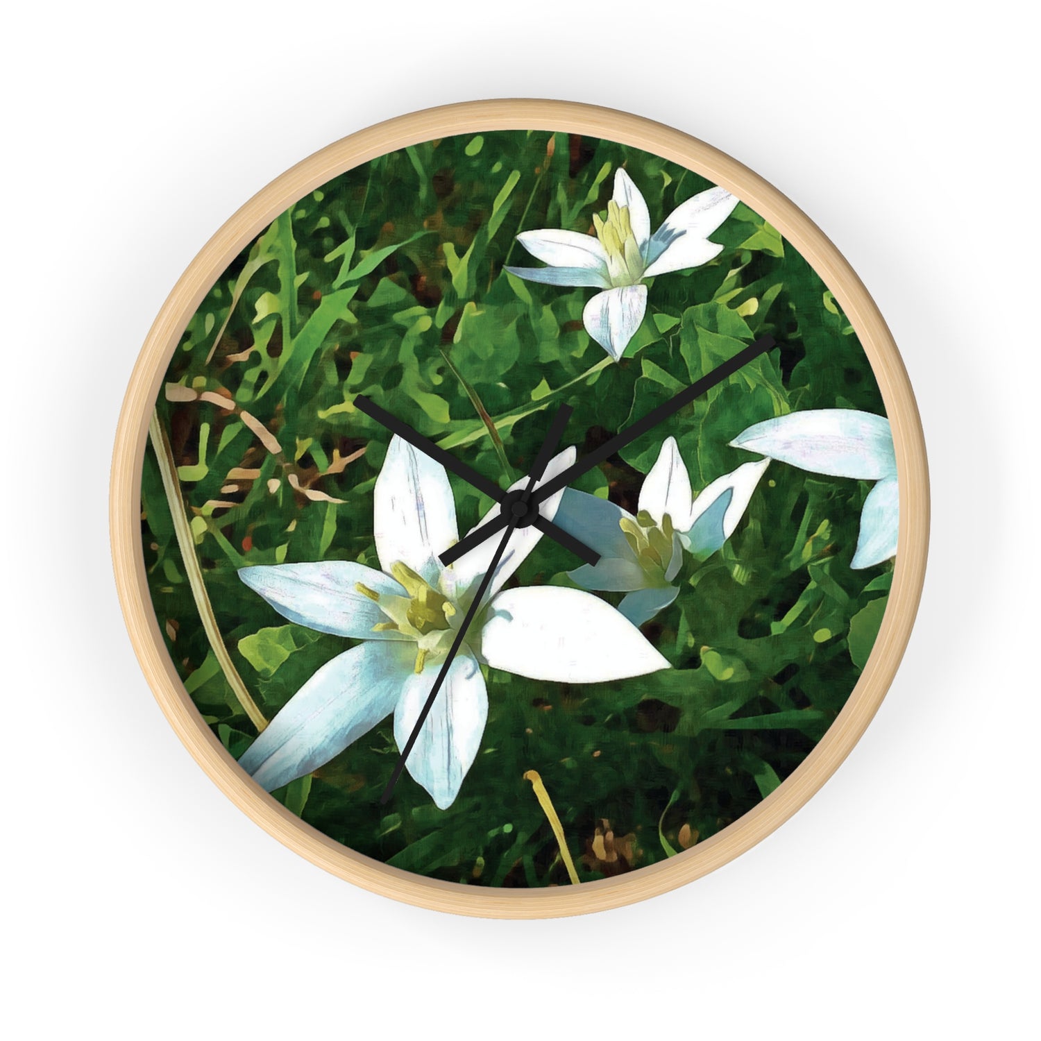 Wall Clock - Flower of Ornithogalum (Variant 1)