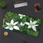Desk Mat - Flower of Ornithogalum