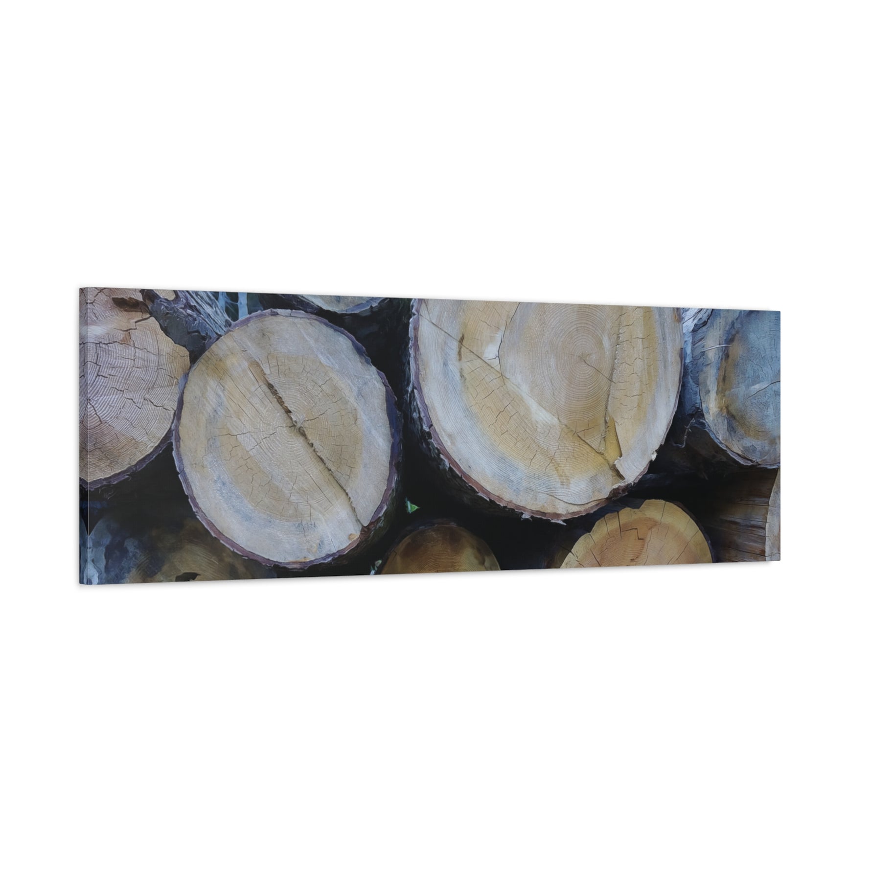 Stretched Matte Canvas - Wooden Trunks (Variant 2)