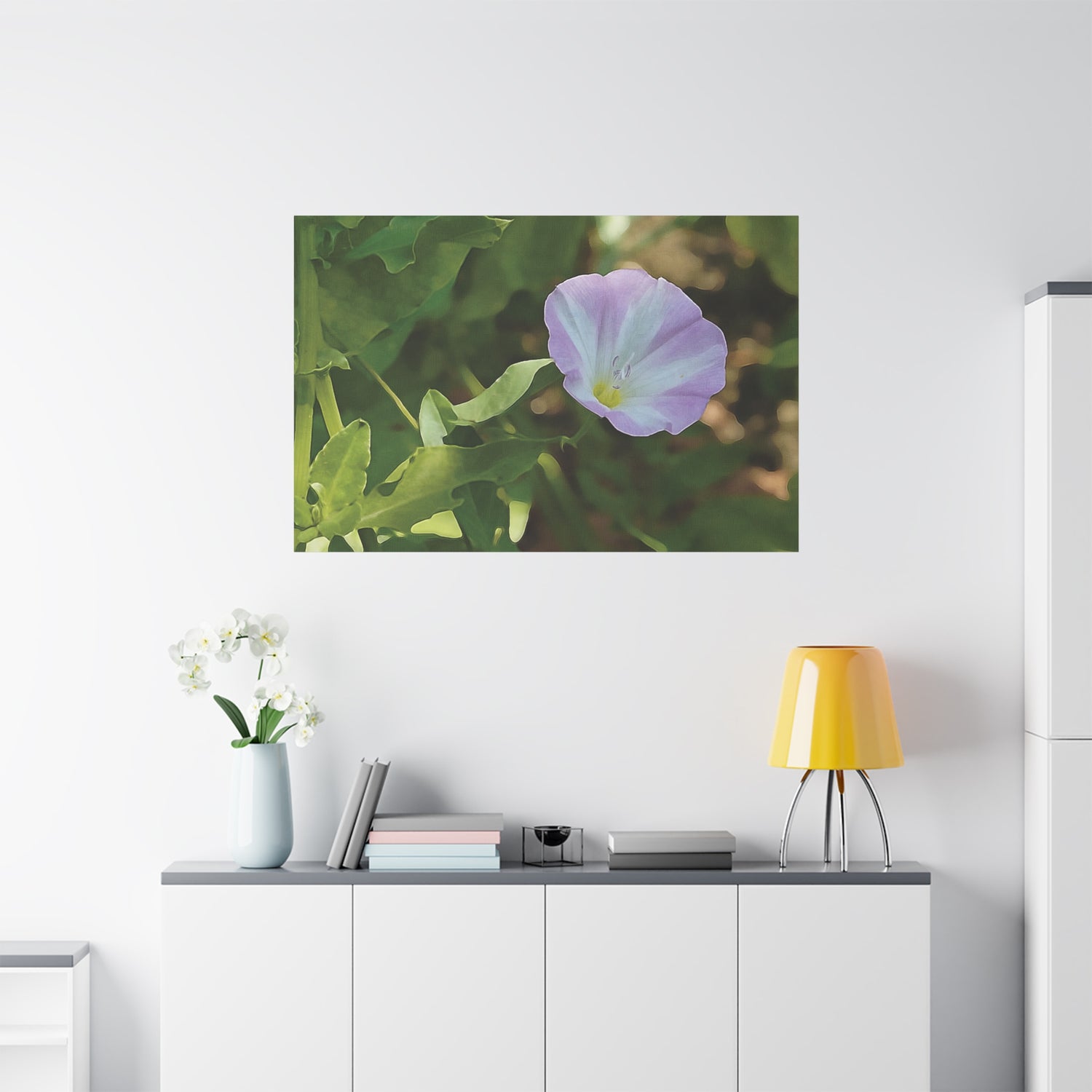 Stretched Matte Canvas - Flower of Convolvulus Arvensis/Vilucchio