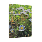 Stretched Matte Canvas - Poly Art - Flower of Daisies (Variant 1)