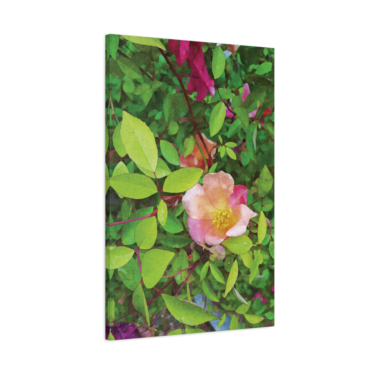 Stretched Matte Canvas - Flower of Rose