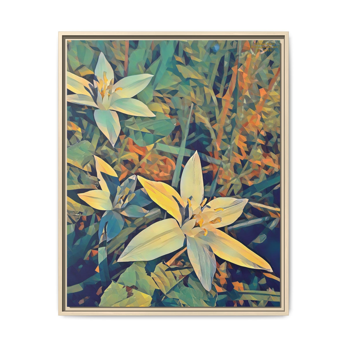 Ornithogalum Blossom (Sunset) | Poly Art | Framed Canvas