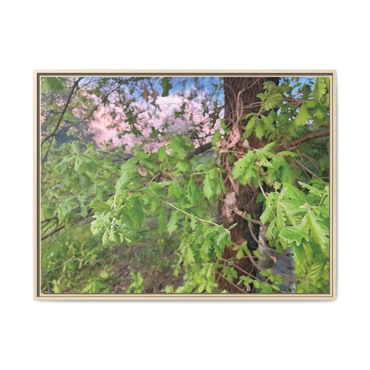 Holodiscus Dumosus | Framed Canvas