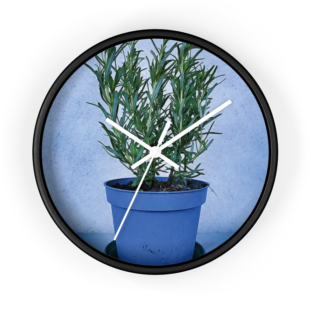 Wall Clock - Rosemary Plant
