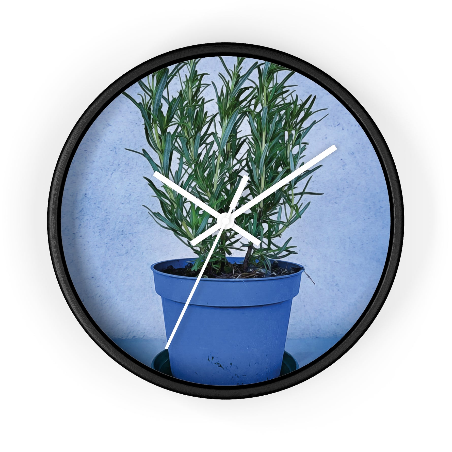 Wall Clock - Rosemary Plant