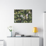 Stretched Matte Canvas - Flower of Gelsomino