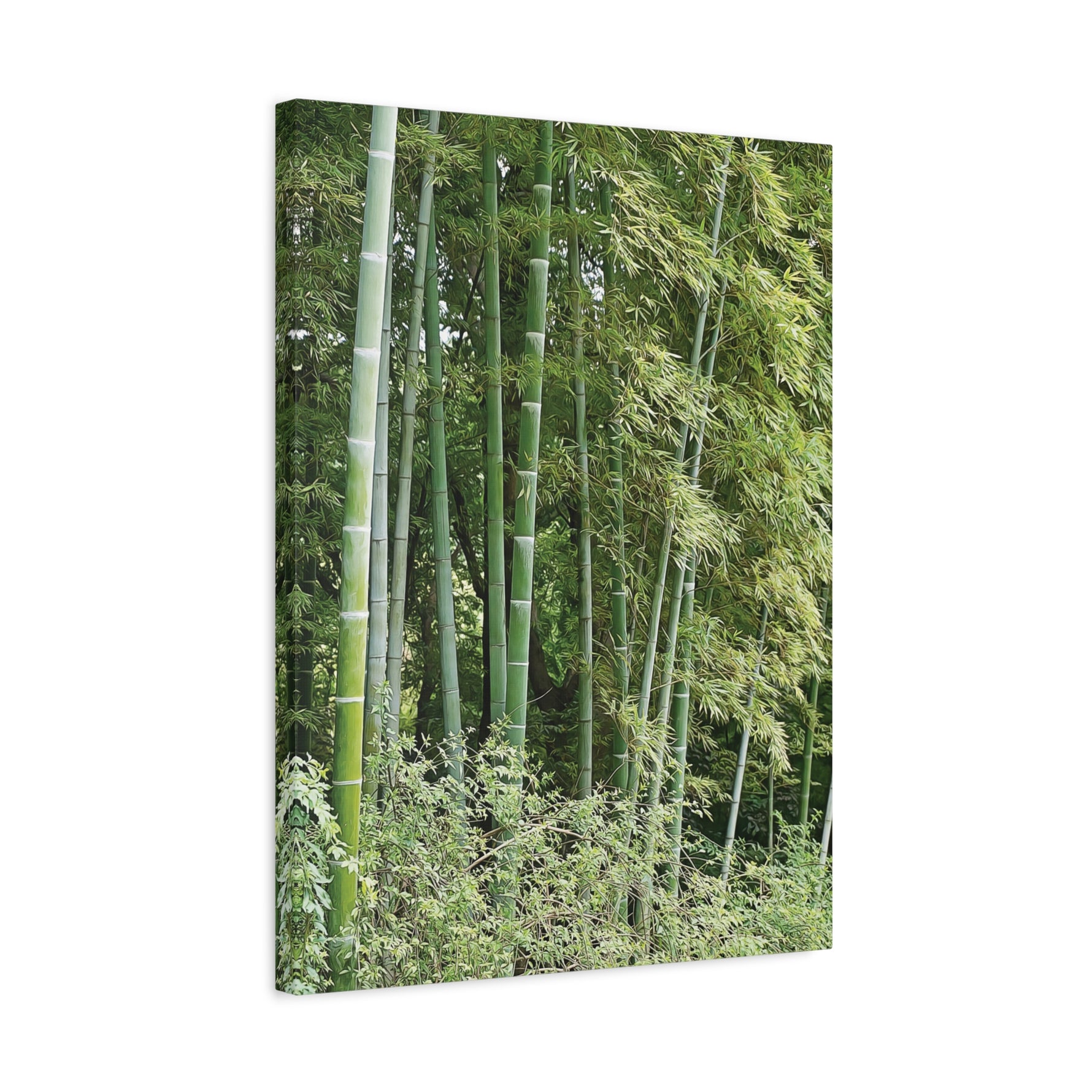 Stretched Matte Canvas - Bamboo (Variant 1)