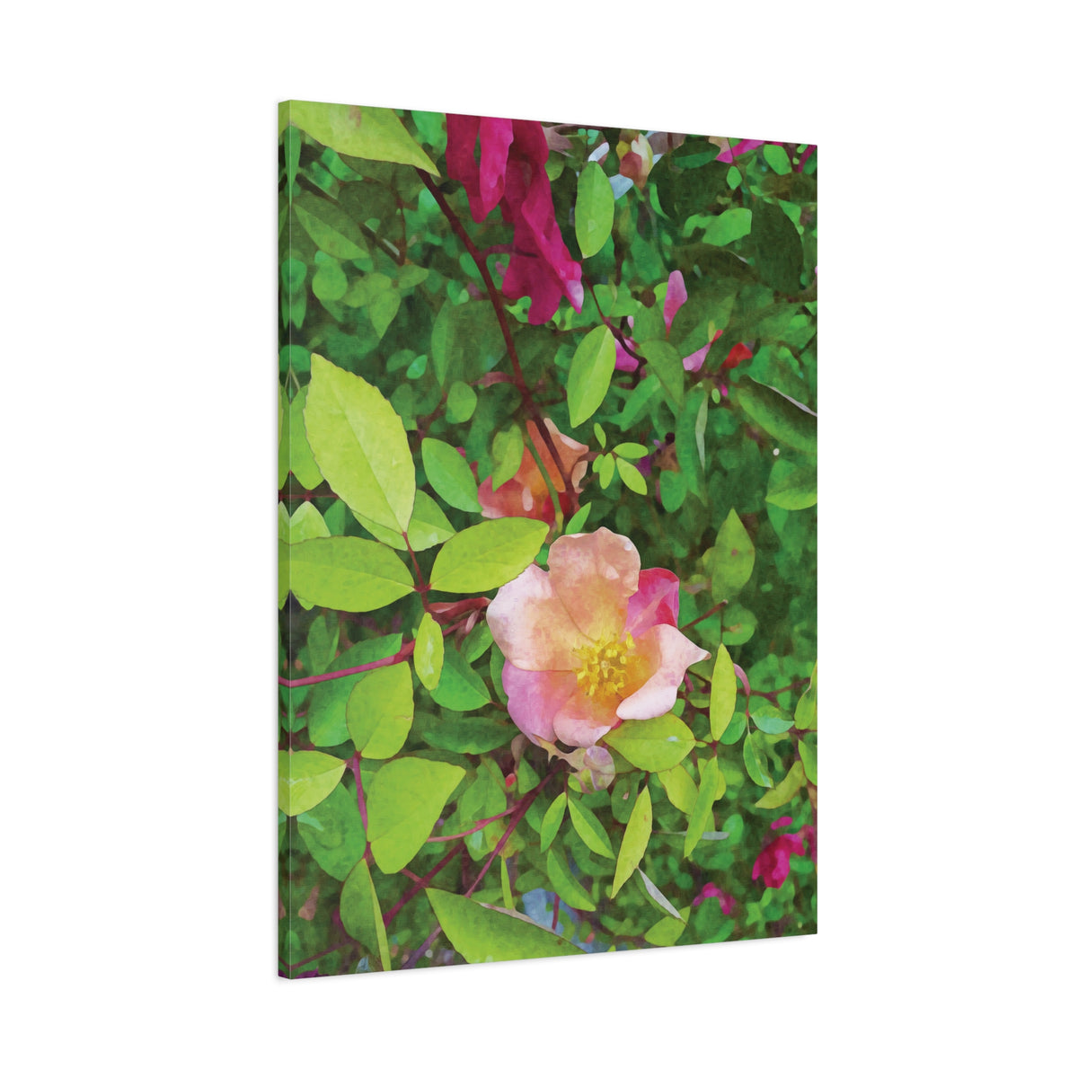 Stretched Matte Canvas - Flower of Rose