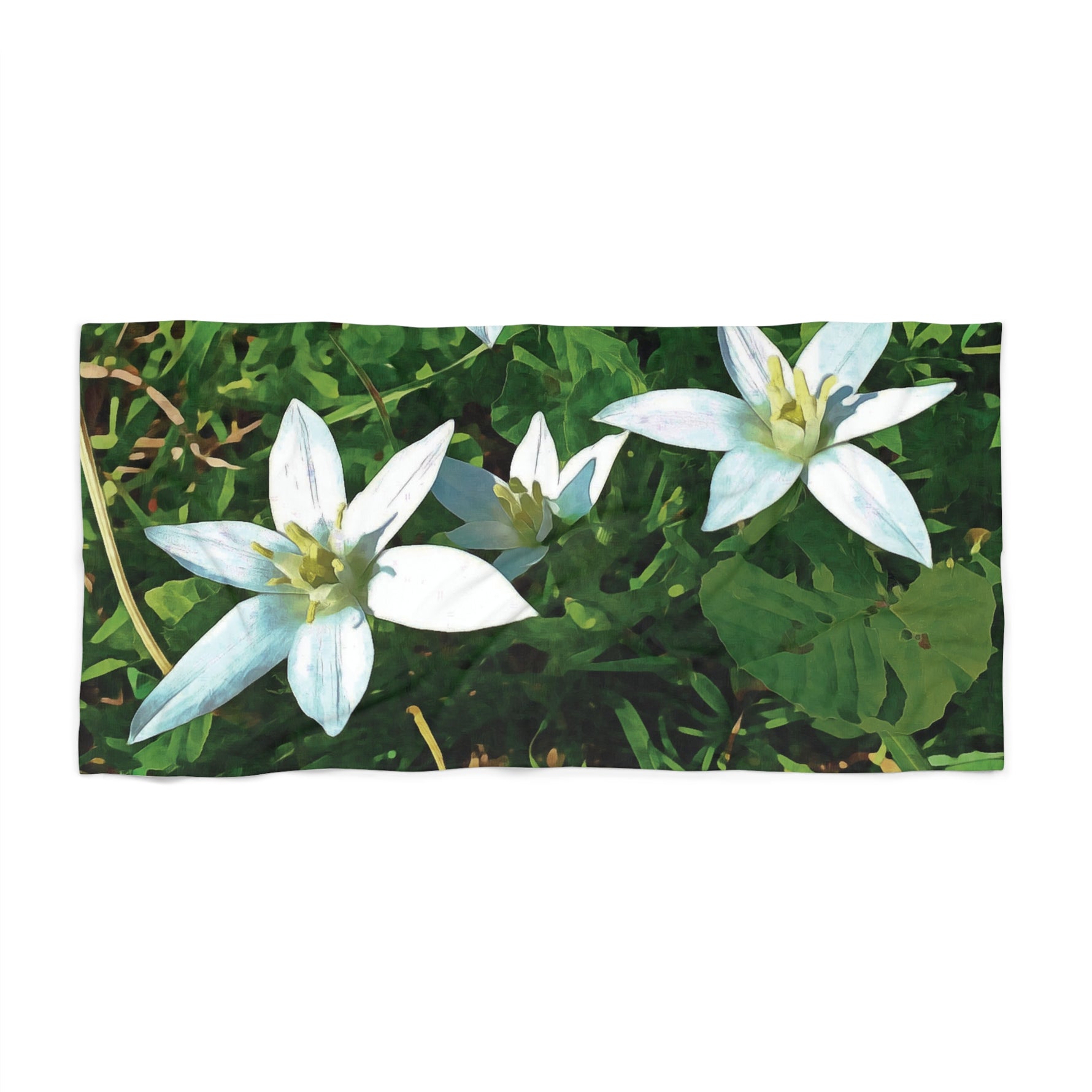 Beach Towel – Flower of Ornithogalum (Variant 1)