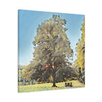 Stretched Matte Canvas - Poly Art - Tree in a lawn (Variant 1)