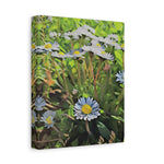 Stretched Matte Canvas - Poly Art - Flower of Daisies (Variant 1)