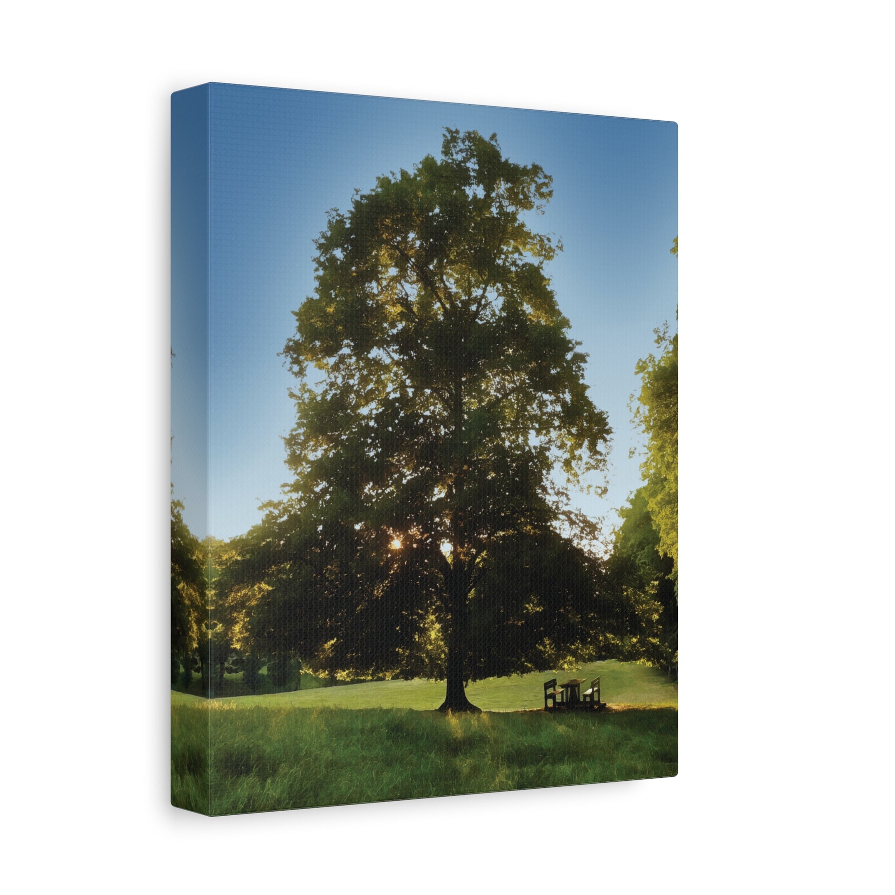 Stretched Matte Canvas - Tree in a lawn (Variant 1)