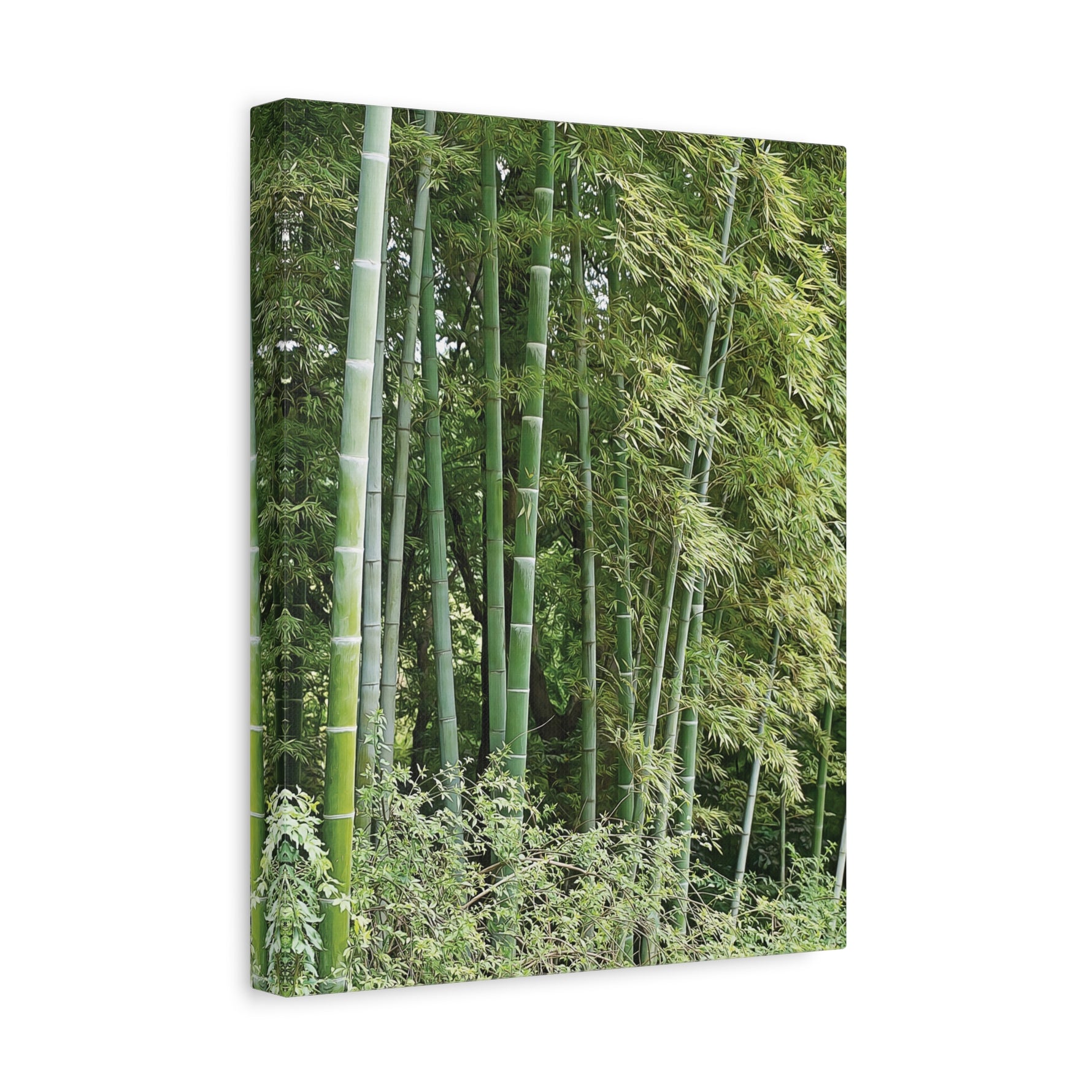 Stretched Matte Canvas - Bamboo (Variant 1)