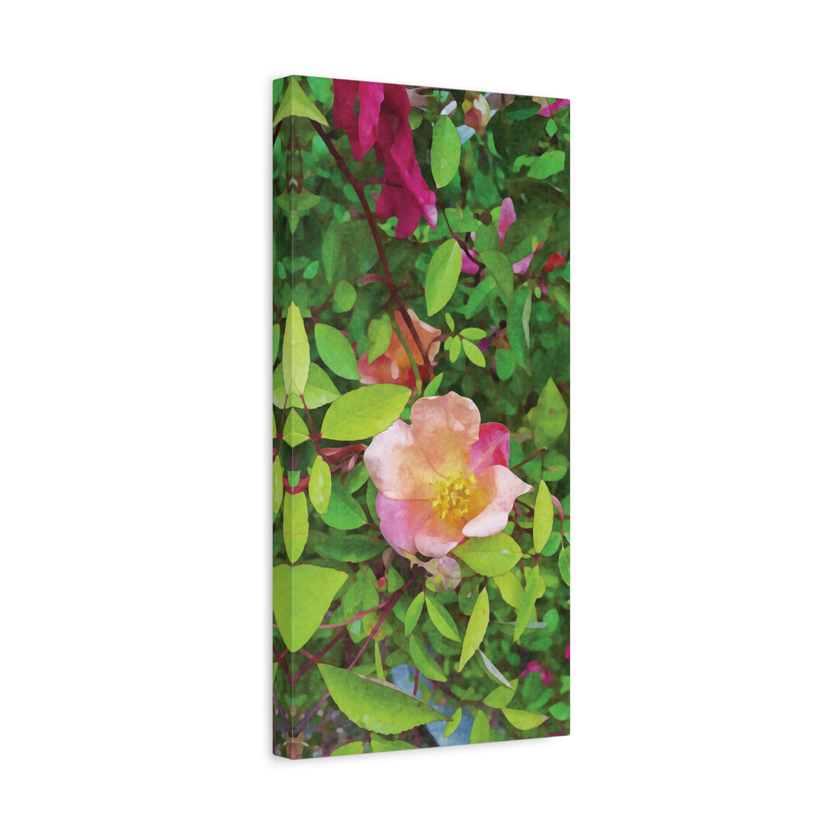 Stretched Matte Canvas - Flower of Rose