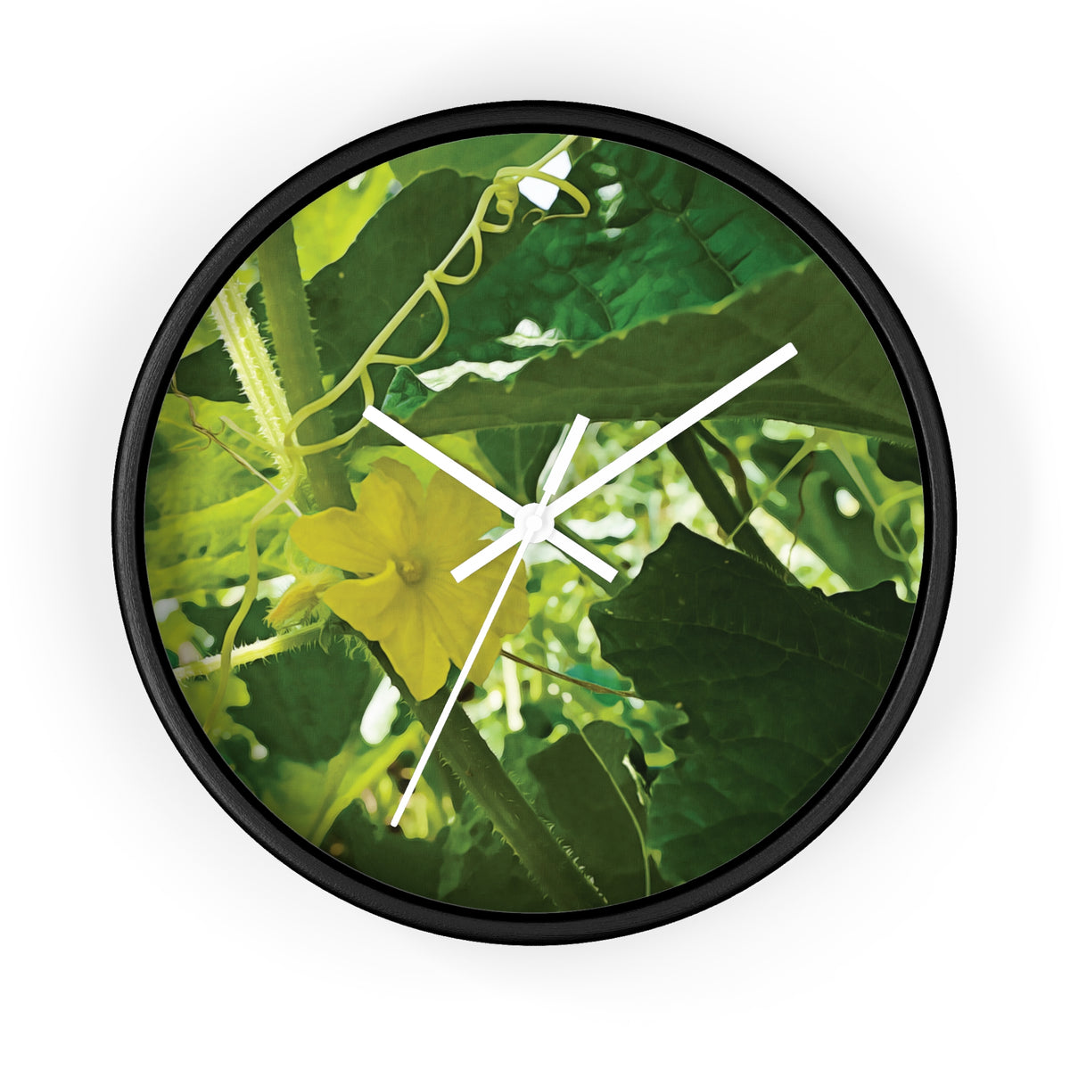 Wall Clock - Flower of Cucumber
