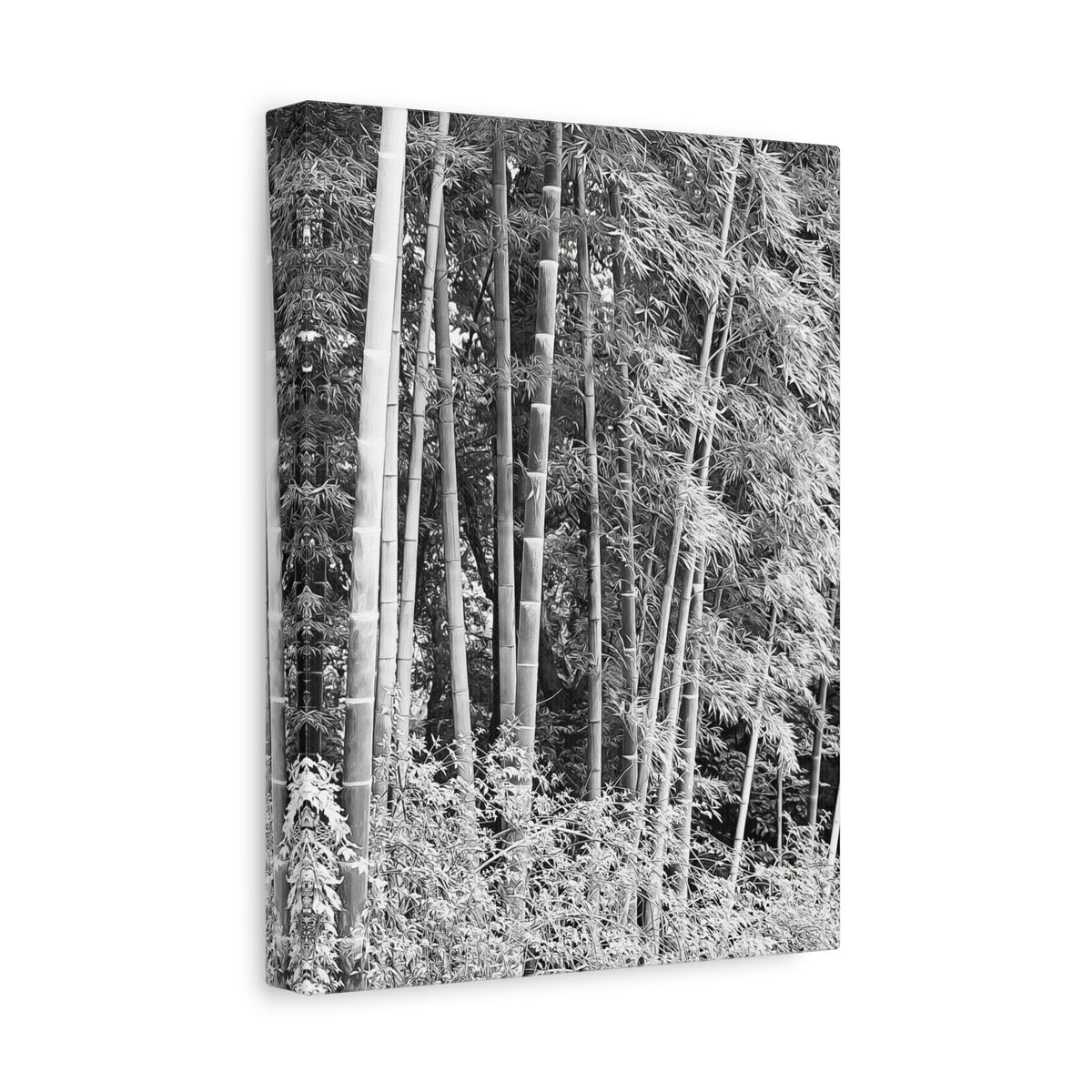 Stretched Matte Canvas - Bamboo (B&W variant)