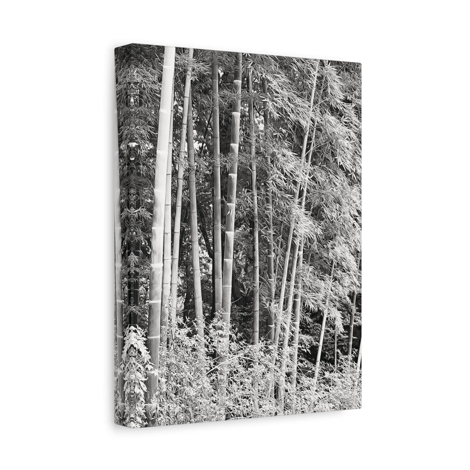 Stretched Matte Canvas - Bamboo (B&W variant)