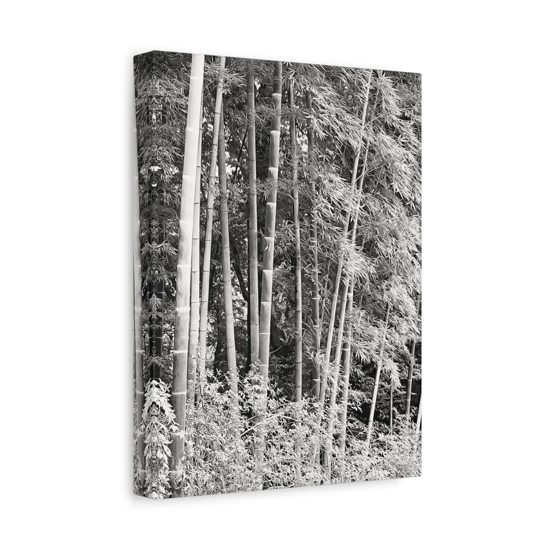 Stretched Matte Canvas - Bamboo (B&W variant)