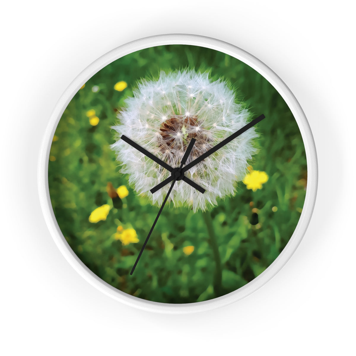Wall Clock - Flower of Dandelion