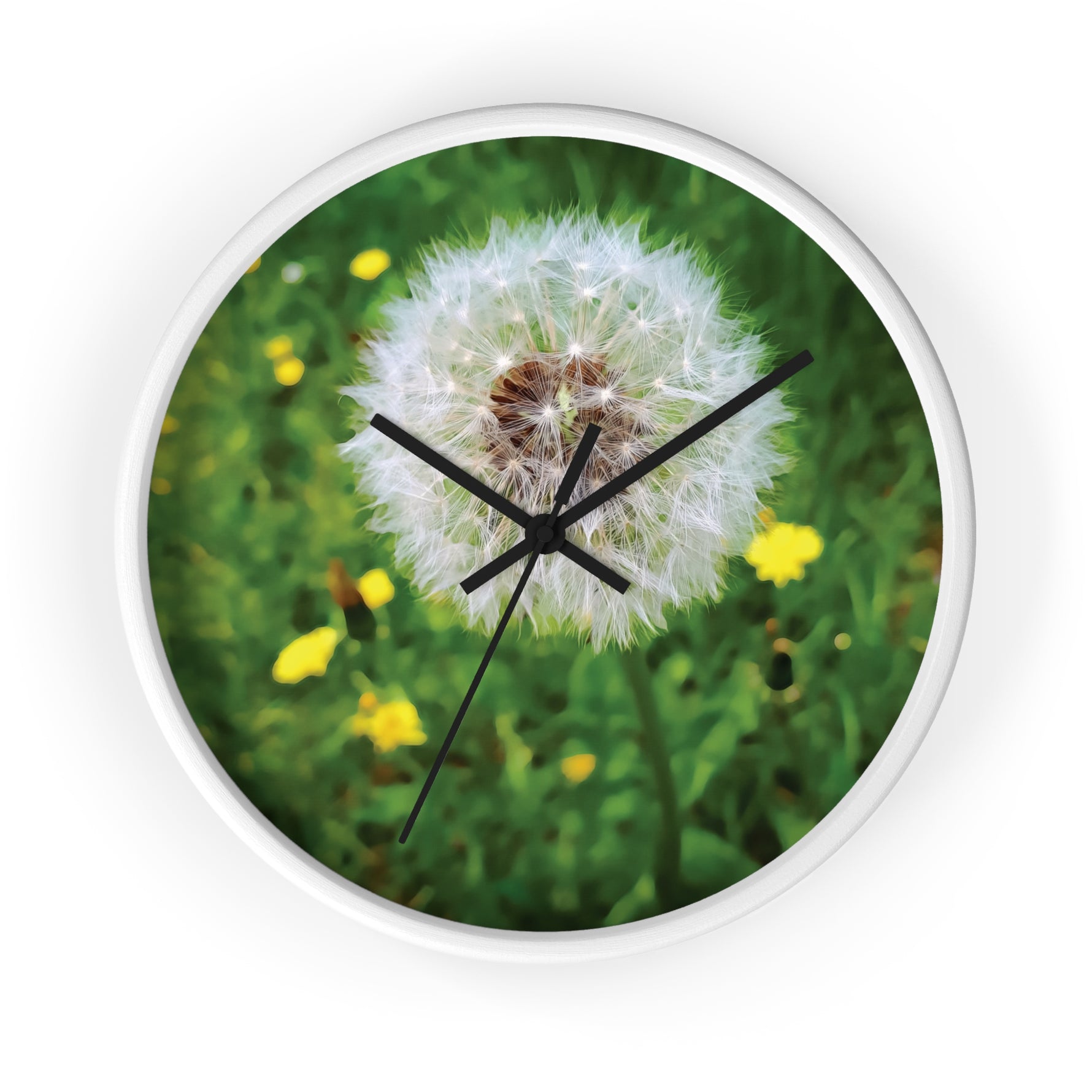 Wall Clock - Flower of Dandelion