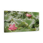 Stretched Matte Canvas - Flower of Lotus