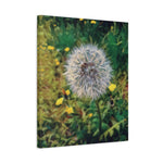 Stretched Matte Canvas - Poly Art - Flower of Dandelion (Variant 2)