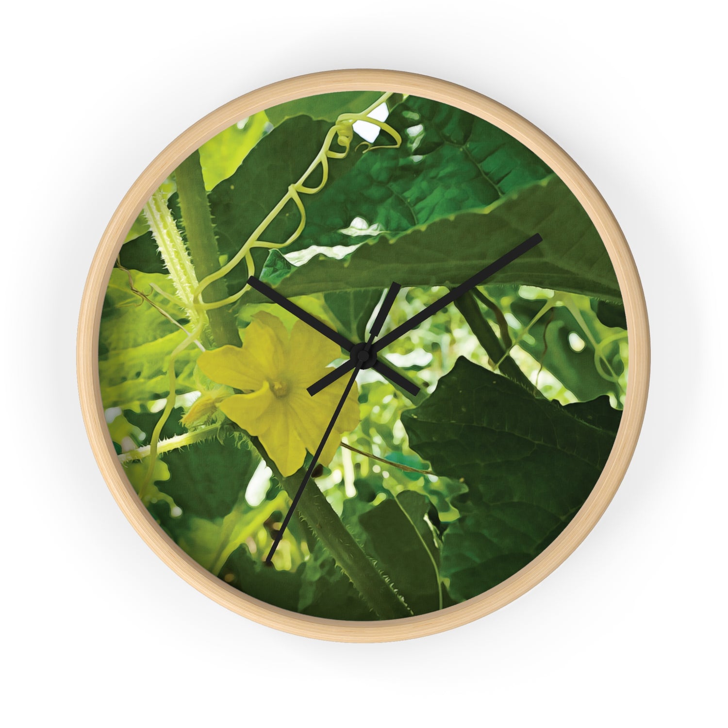 Wall Clock - Flower of Cucumber